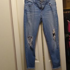 Hollister jeans